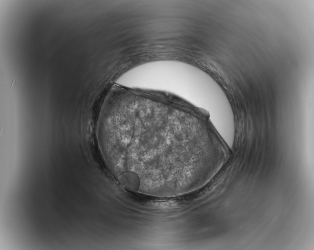 X0000096440322200802141457