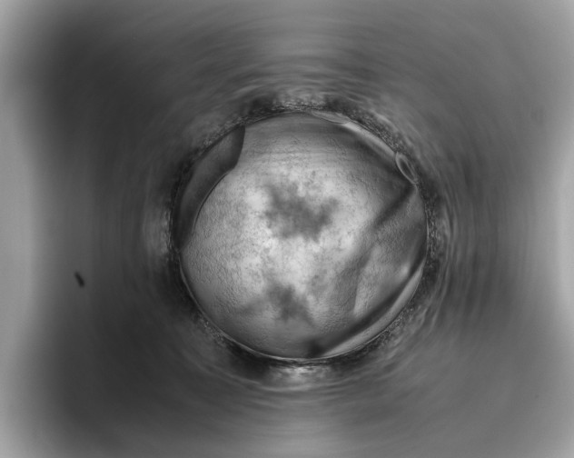 X0000096440323200802141457