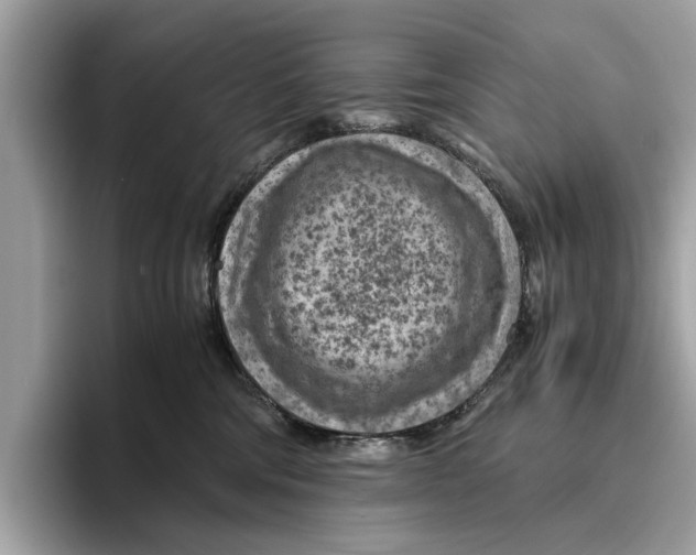 X0000096440330200802141457