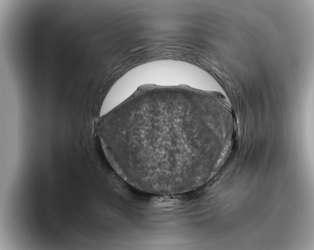 X0000096440331200802141457