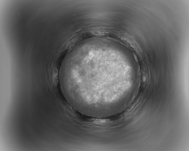 X0000096440332200802141457