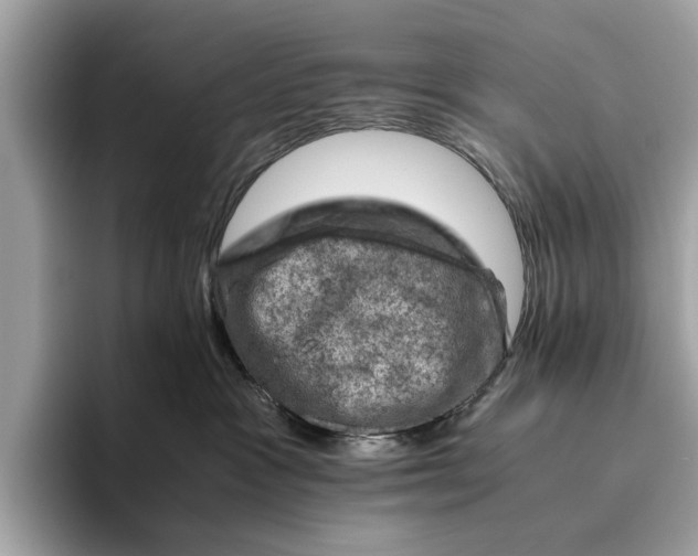 X0000096440333200802141457