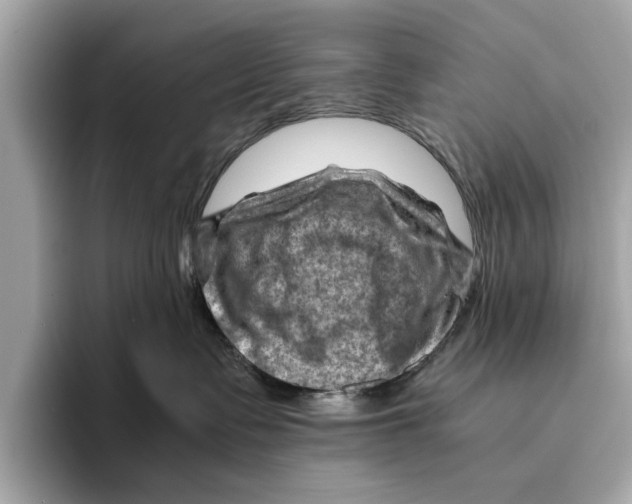 X0000096440335200802141457