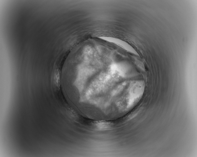 X0000096440336200802141457