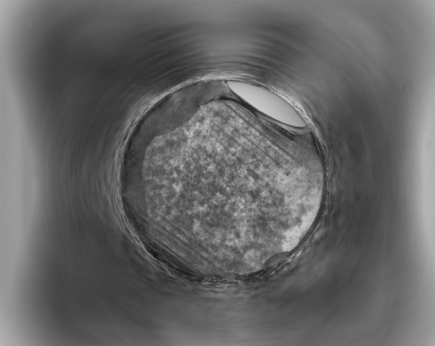 X0000096440337200802141456