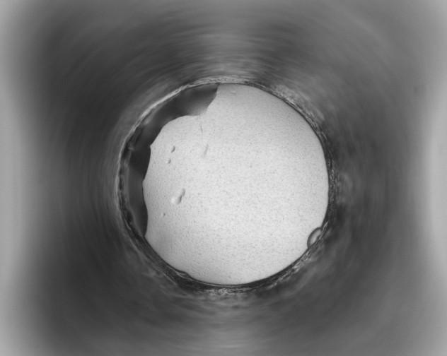 X0000096440338200802141456