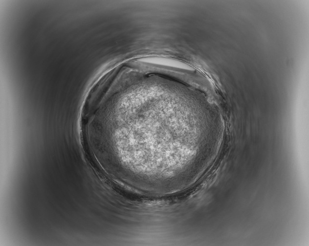 X0000096440340200802141456