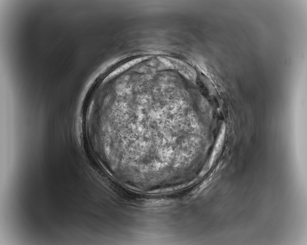 X0000096440342200802141456