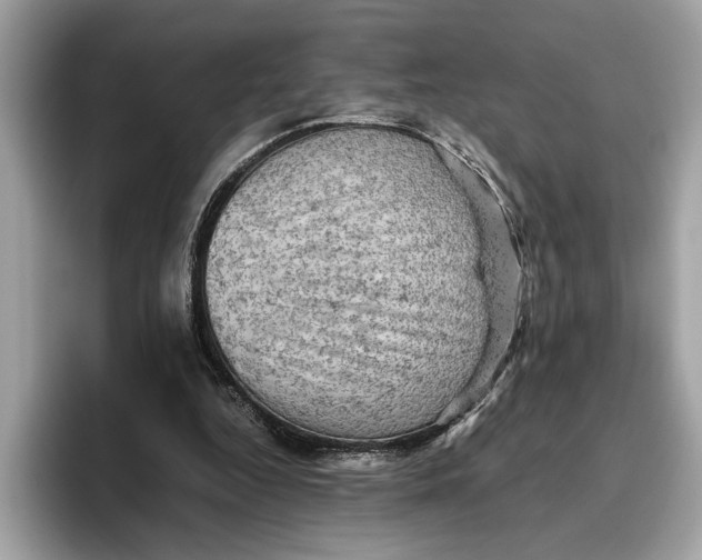 X0000096440344200802141456