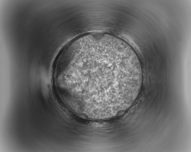 X0000096440346200802141456