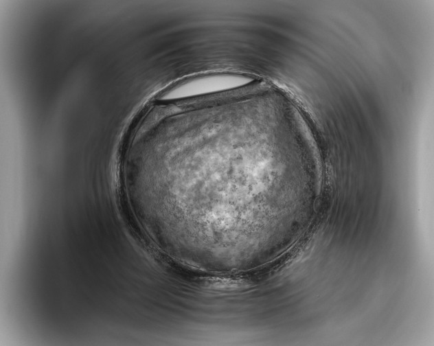 X0000096440347200802141456