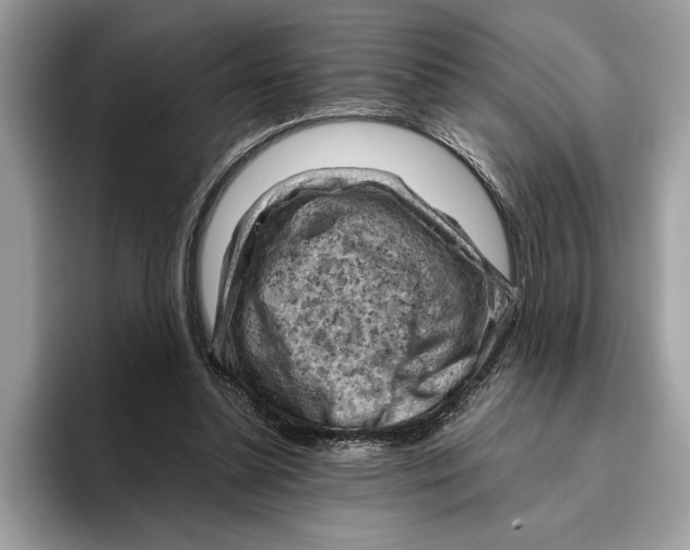 X0000096440348200802141456