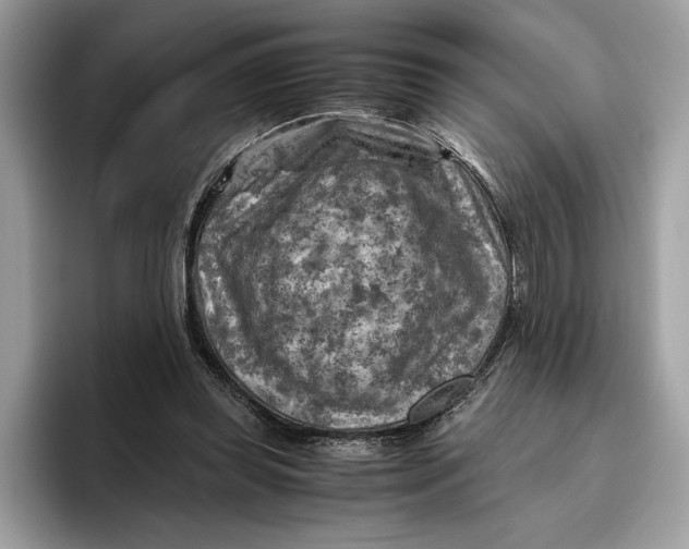 X0000096440349200802141456