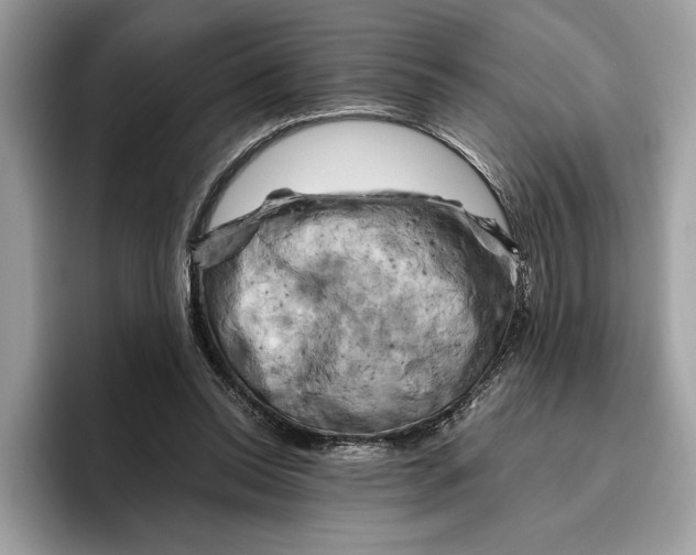 X0000096440350200802141456