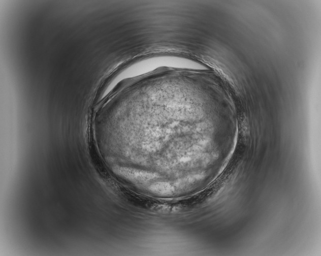 X0000096440352200802141456