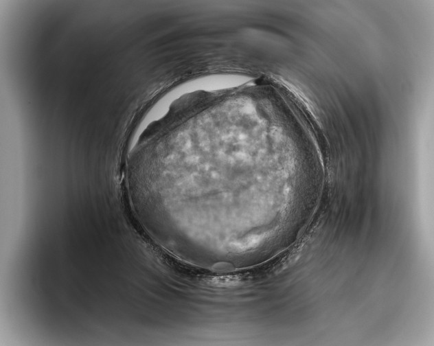 X0000096440353200802141456