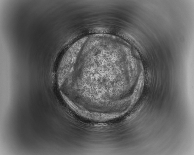 X0000096440355200802141456