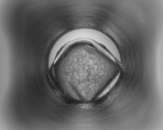 X0000096440356200802141456