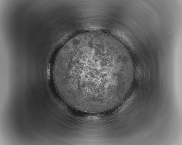 X0000096440358200802141456