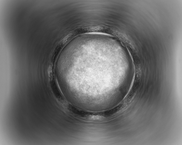 X0000096440360200802141456