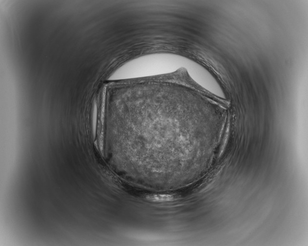 X0000096440361200802141456