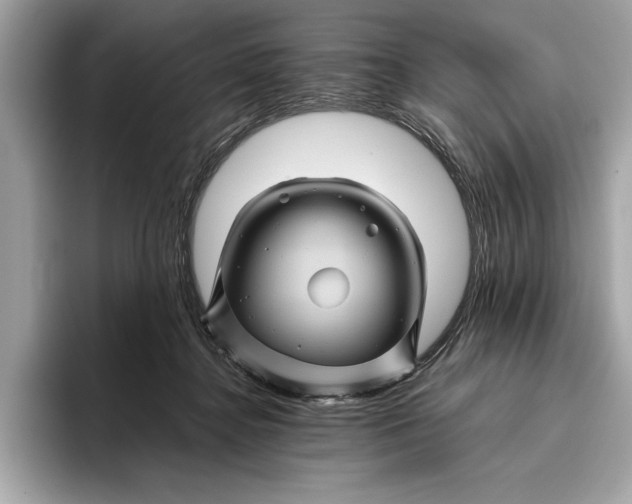 X0000096440364200802141456