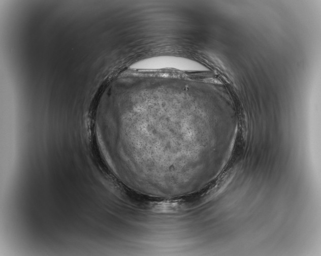 X0000096440366200802141457