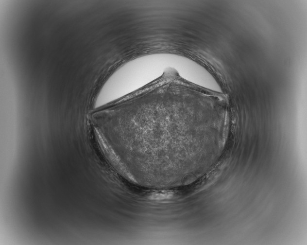 X0000096440369200802141457