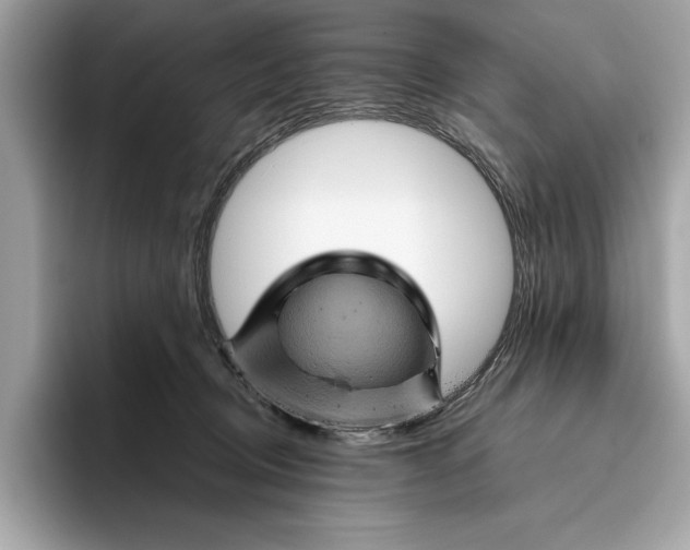 X0000096440370200802141457