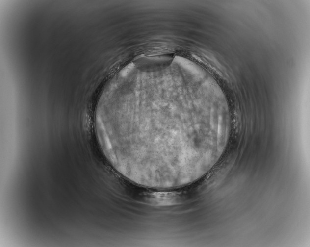 X0000096440371200802141457