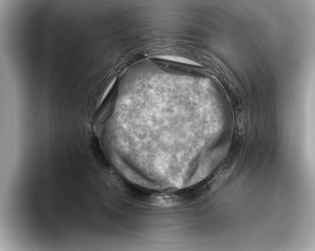 X0000096440372200802141457