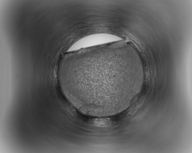 X0000096440373200802141457