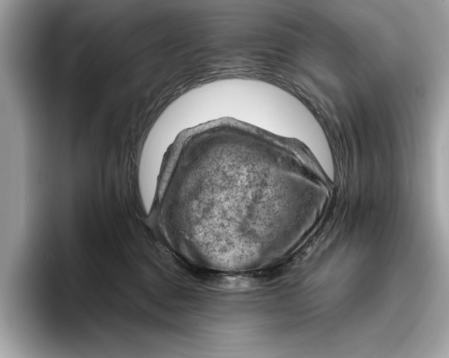 X0000096440376200802141457