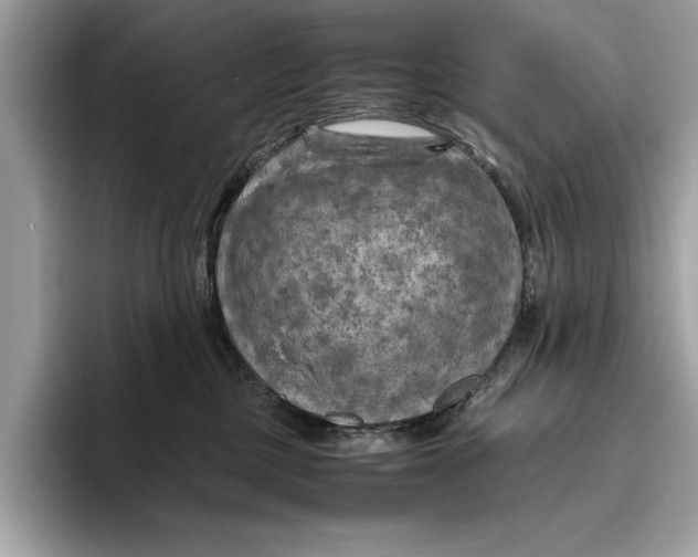 X0000096440377200802141457