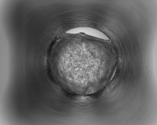 X0000096440379200802141457