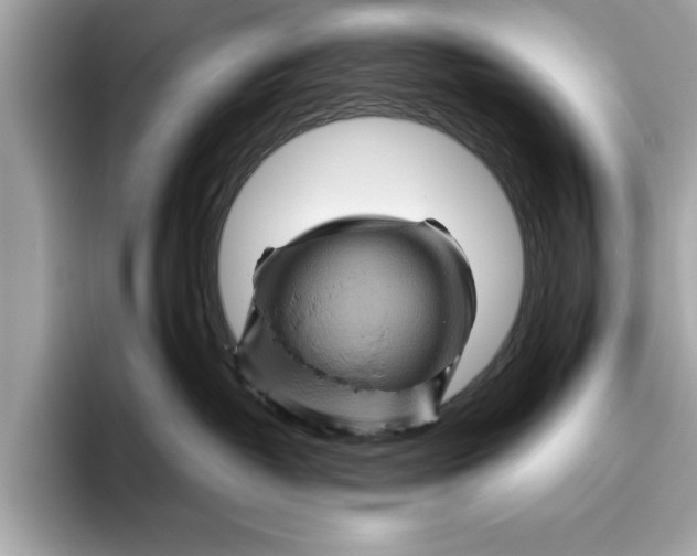 X0000096440382200802141457