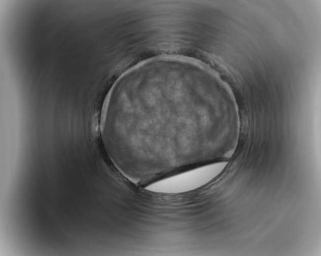 X0000096440383200802141457