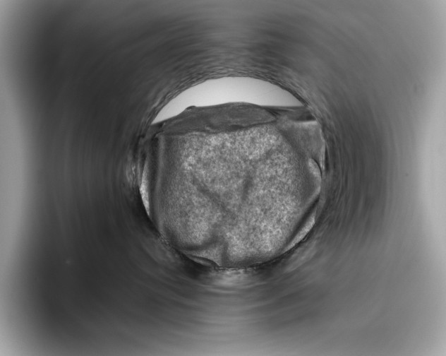 X0000096440384200802141457