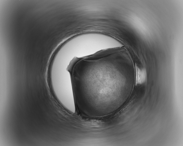 X0000096440387200802141456