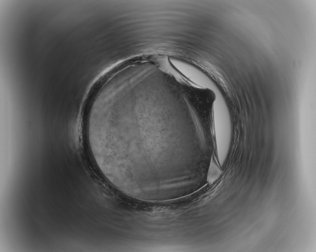 X0000096440388200802141456