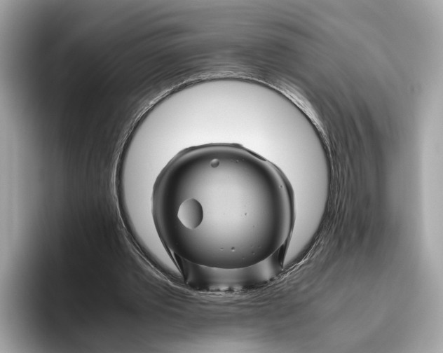 X0000096440389200802141456