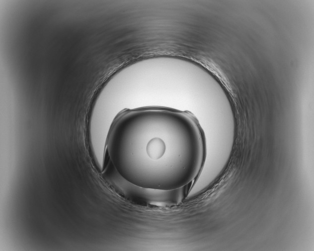 X0000096440393200802141456