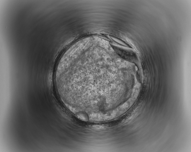 X0000096440394200802141456