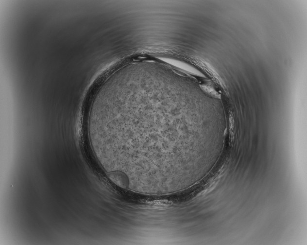 X0000096440396200802141456