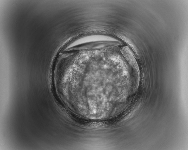 X0000096440399200802141456