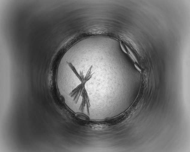 X0000096440400200802141456