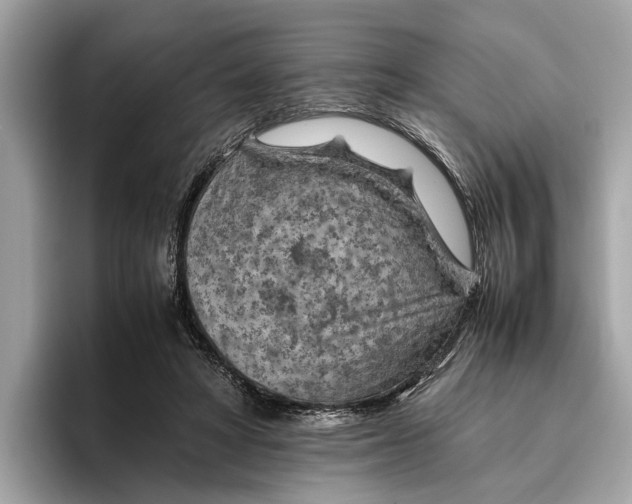 X0000096440402200802141456