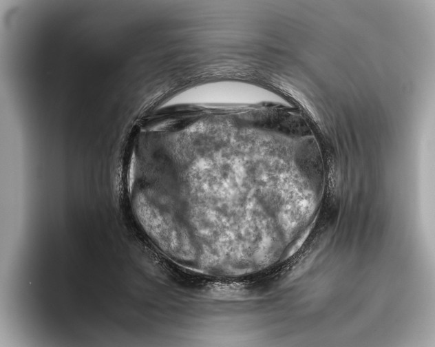 X0000096440403200802141456