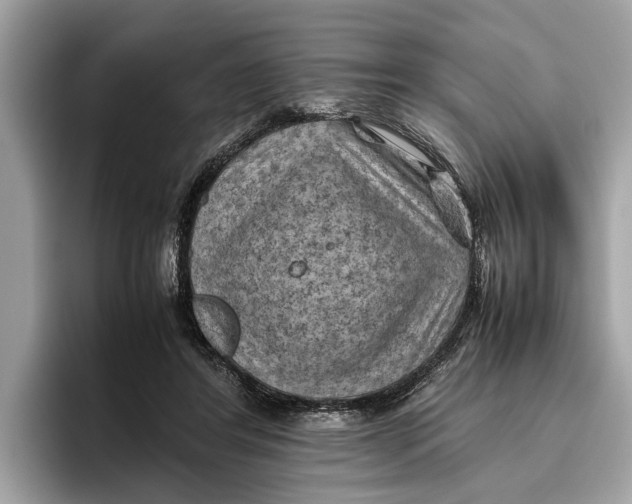 X0000096440404200802141456