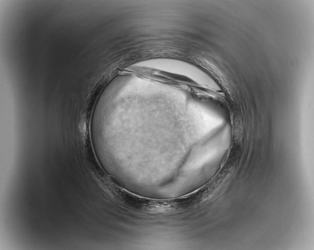 X0000096440405200802141456